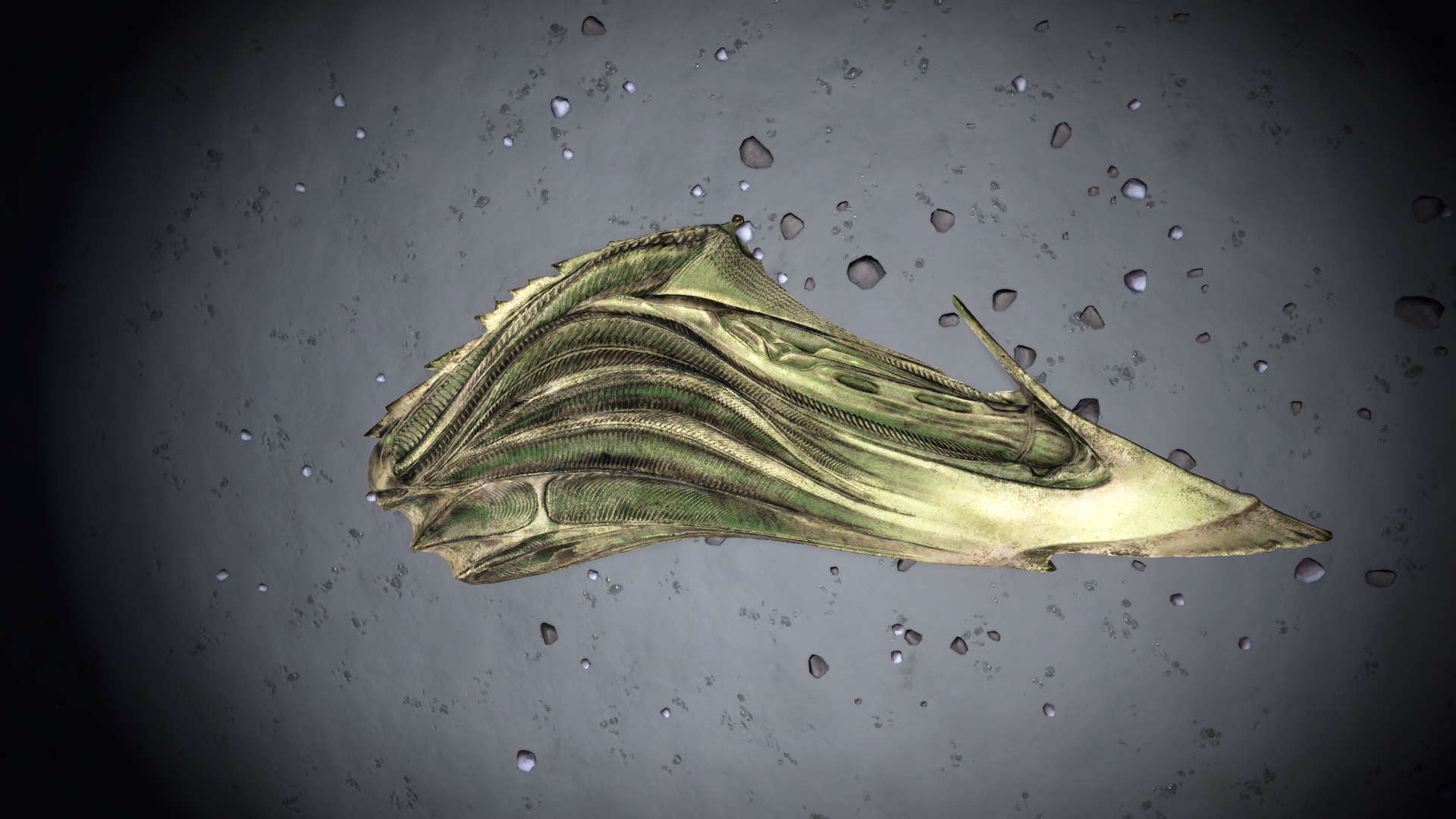 Photo by: CMDR OXFORTH